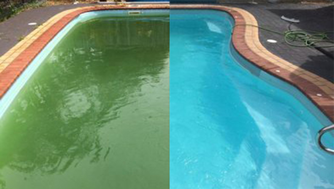 Green Pool Clean Up